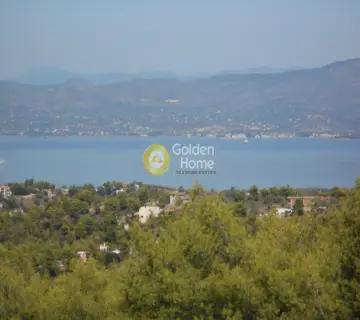 Αυτόνομο Κτίριο 1850τ.μ. προς πώληση φωτογραφία 2