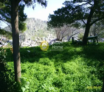 Οικιστικό 2531τ.μ. προς πώληση φωτογραφία 2