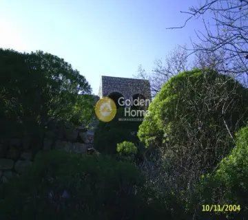 Οικιστικό 2531τ.μ. προς πώληση φωτογραφία 8