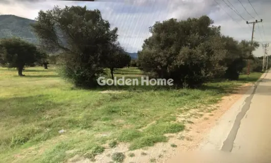 Οικιστικό 6000τ.μ. προς πώληση φωτογραφία 5377480