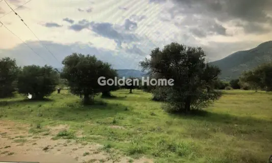 Οικιστικό 6000τ.μ. προς πώληση φωτογραφία 5377480