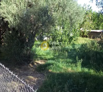 Οικιστικό 465τ.μ. προς πώληση φωτογραφία 3