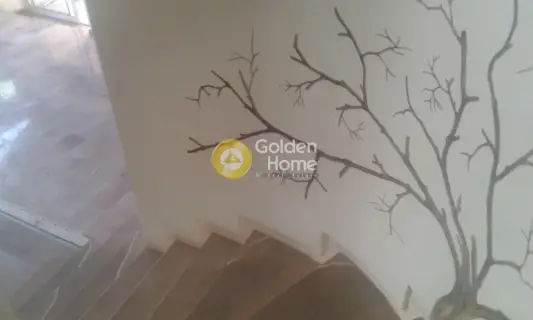 Μονοκατοικία 215τ.μ. προς πώληση φωτογραφία 77