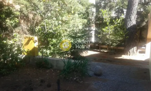 Μονοκατοικία 215τ.μ. προς πώληση φωτογραφία 81