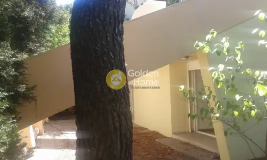 Μονοκατοικία 215τ.μ. προς πώληση φωτογραφία 85