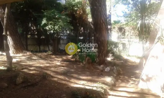 Μονοκατοικία 215τ.μ. προς πώληση φωτογραφία 91