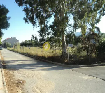 Golden Home Property Image