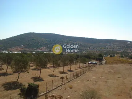 Residential 4200m<sup>2</sup> for sale photo 3