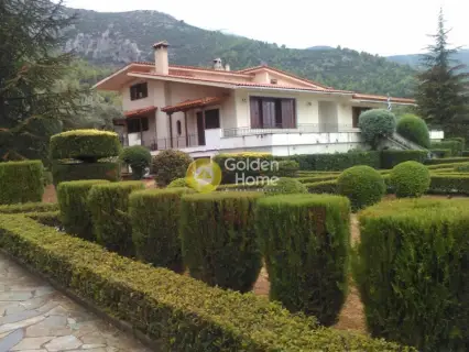 Golden Home Property Image