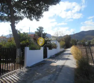 Golden Home Property Image