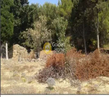Parcel 8100m<sup>2</sup> for sale photo 4