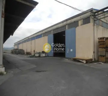 Industrial 10000m<sup>2</sup> for sale photo 25
