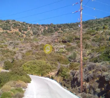 Οικιστικό 60000τ.μ. προς πώληση φωτογραφία 13