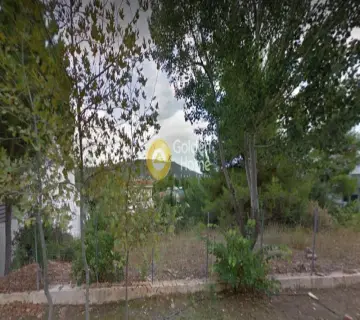 Οικιστικό 1650τ.μ. προς πώληση φωτογραφία 6