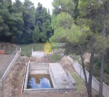 Μονοκατοικία 320τ.μ. προς πώληση φωτογραφία 15