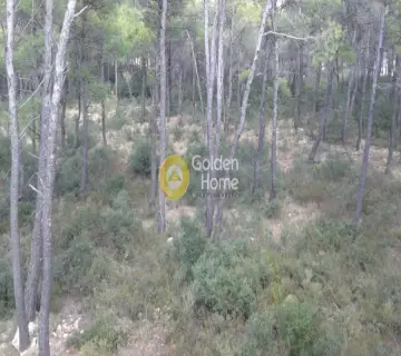 Μονοκατοικία 320τ.μ. προς πώληση φωτογραφία 24