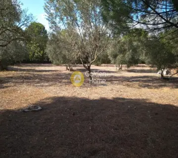 Οικιστικό 1840τ.μ. προς πώληση φωτογραφία 1