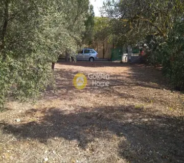 Οικιστικό 1840τ.μ. προς πώληση φωτογραφία 4