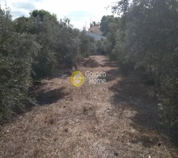 Οικιστικό 1840τ.μ. προς πώληση φωτογραφία 8