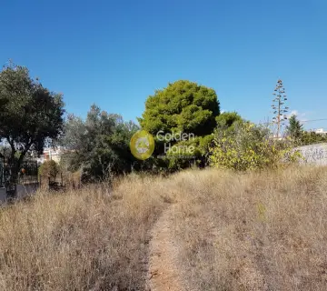 Professional Plot 1706m<sup>2</sup> for rent photo 1