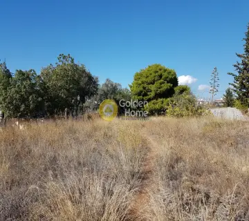 Professional Plot 1706m<sup>2</sup> for rent photo 3