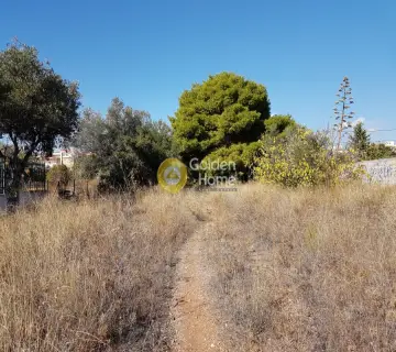 Professional Plot 1706m<sup>2</sup> for rent photo 5