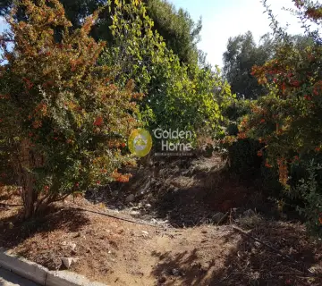 Professional Plot 1706m<sup>2</sup> for rent photo 6
