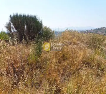 Residential 916m<sup>2</sup> for sale photo 8