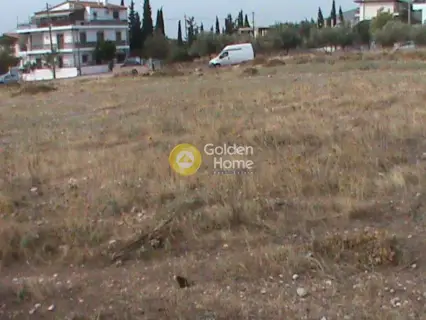 Οικιστικό 450τ.μ. προς πώληση φωτογραφία 4