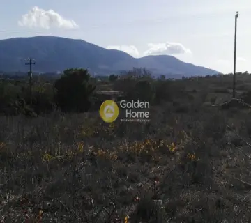  4000τ.μ. προς πώληση φωτογραφία 2