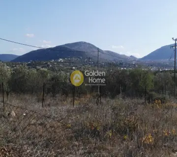  4000τ.μ. προς πώληση φωτογραφία 3