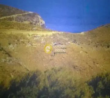 Parcel 80000m<sup>2</sup> for sale photo 2