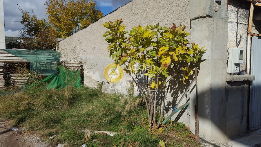Οικιστικό 319τ.μ. προς πώληση φωτογραφία προβολής