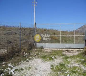 Οικιστικό 12500τ.μ. προς πώληση φωτογραφία 5