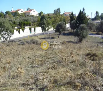 Οικιστικό 12500τ.μ. προς πώληση φωτογραφία 9