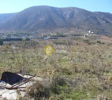 Οικιστικό 12500τ.μ. προς πώληση φωτογραφία 11