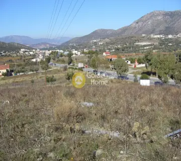 Οικιστικό 12500τ.μ. προς πώληση φωτογραφία 12