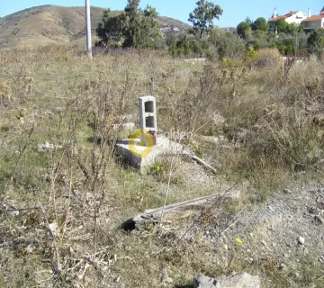 Οικιστικό 12500τ.μ. προς πώληση φωτογραφία 6