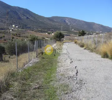 Οικιστικό 12500τ.μ. προς πώληση φωτογραφία 7