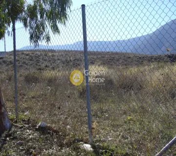 Οικιστικό 12500τ.μ. προς πώληση φωτογραφία 2