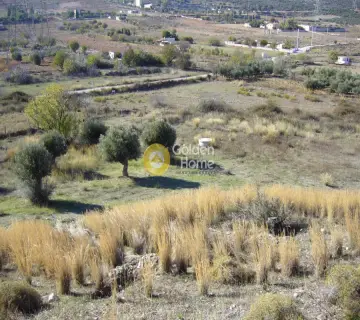 Parcel 18500m<sup>2</sup> for sale photo 1