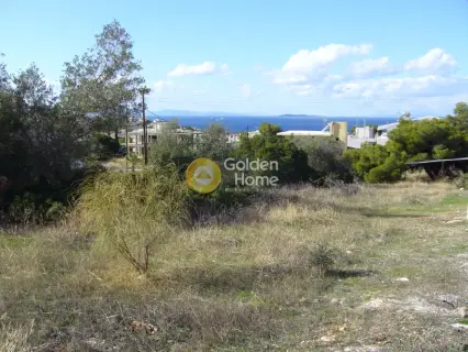Professional Plot 1800m<sup>2</sup> for sale photo 5