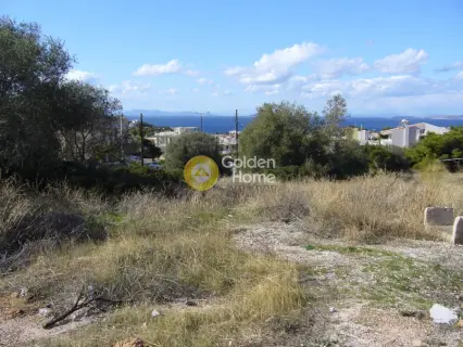Professional Plot 1800m<sup>2</sup> for sale photo 3