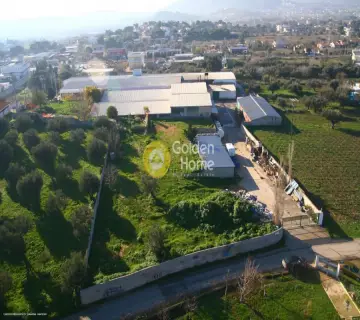 Golden Home Property Image