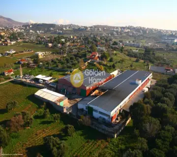 Golden Home Property Image