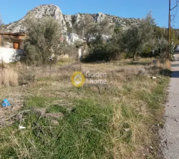 Residential 350m<sup>2</sup> for sale photo 2