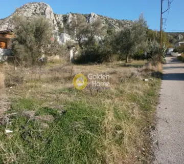 Residential 350m<sup>2</sup> for sale photo 3