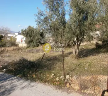 Residential 350m<sup>2</sup> for sale photo 4