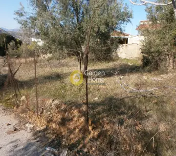 Residential 350m<sup>2</sup> for sale photo 5