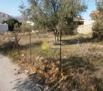 Residential 350m<sup>2</sup> for sale photo 6